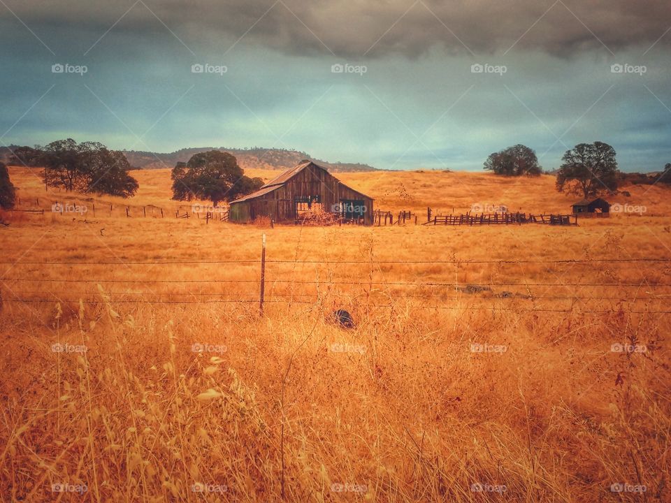 Old barn on the way to Yosemite