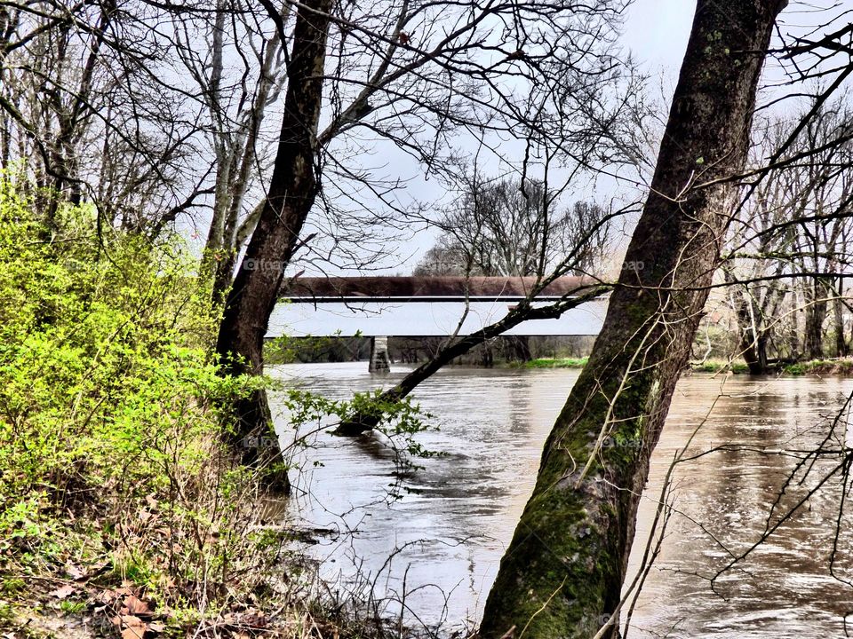 Spring by the white river with potters covered bridge 