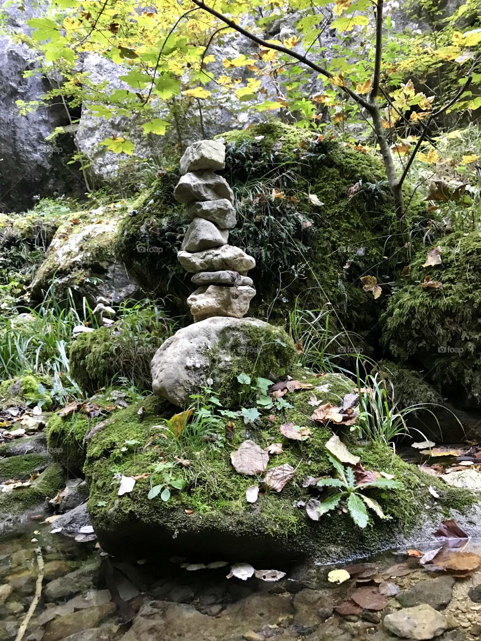 Teufelsschlucht swiss