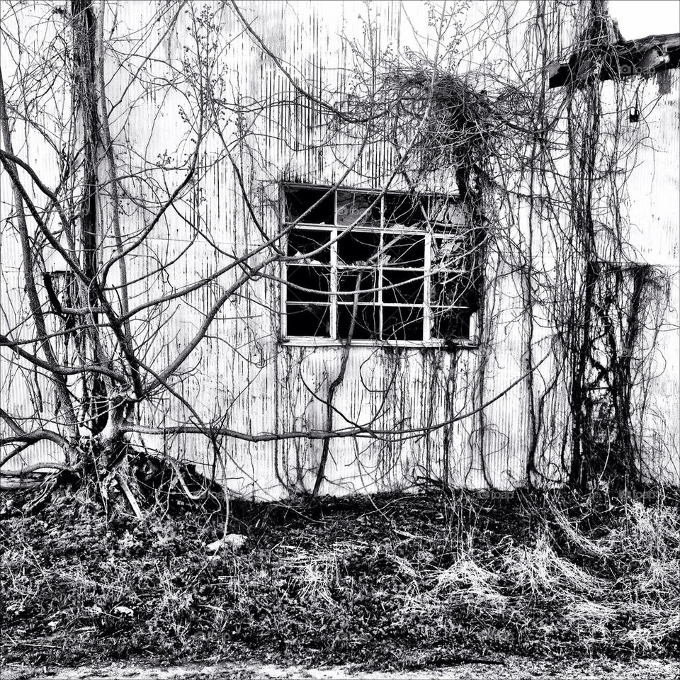 white black window broken by jasonoleham