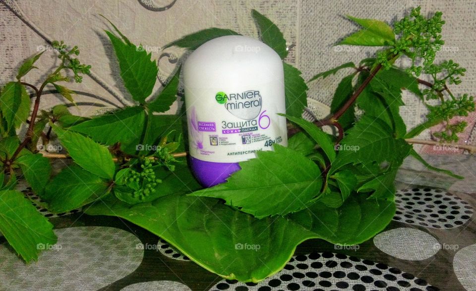 Garnier mineral