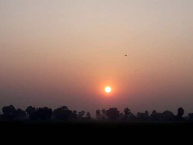 sunset