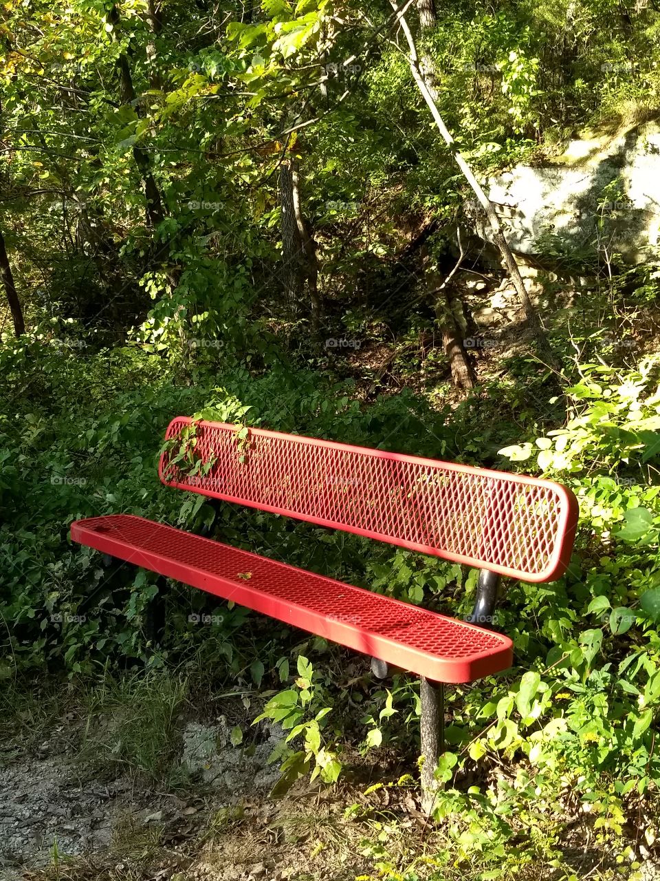 bench along hiking trail.