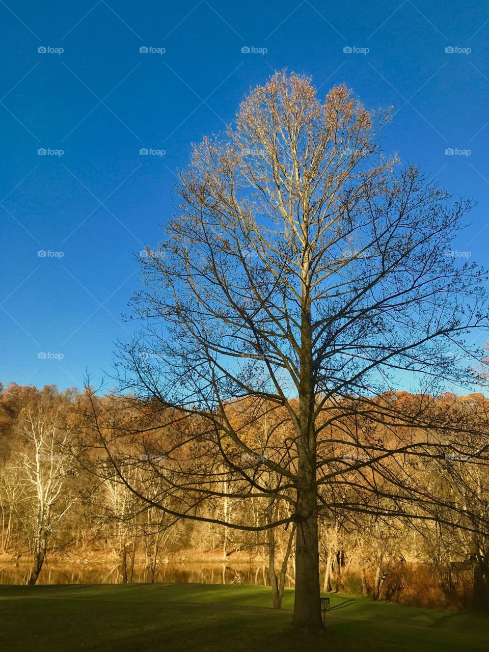 1rst day of December.