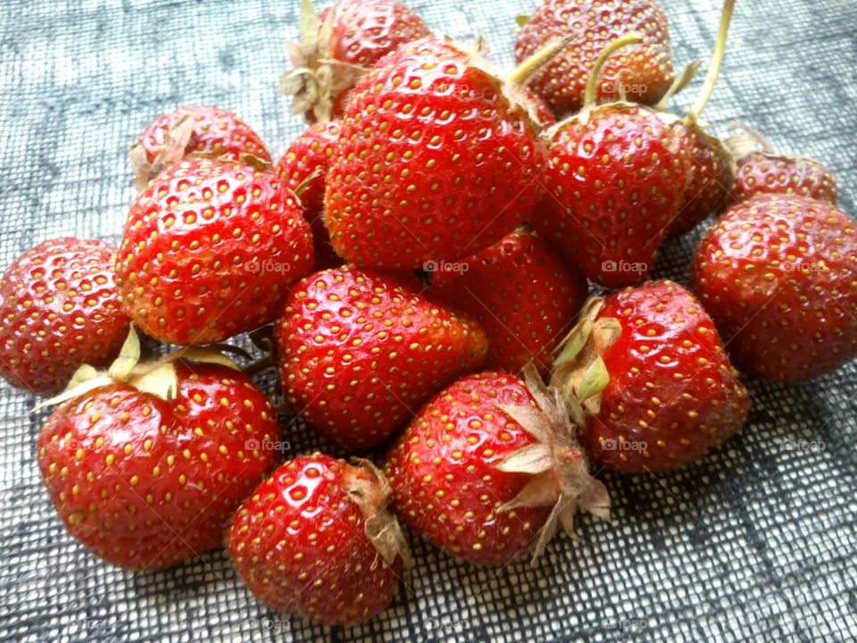 Close-up of strawberries on cloth