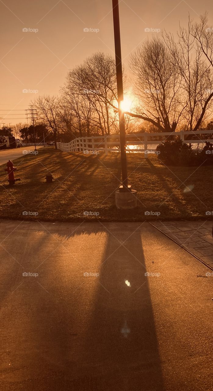 Early Sunset Pic, Shadows due to Sun being well powered up at 430 pm. Shadow of limb over Lake Water with inland Shadows on Lakebed Bank.