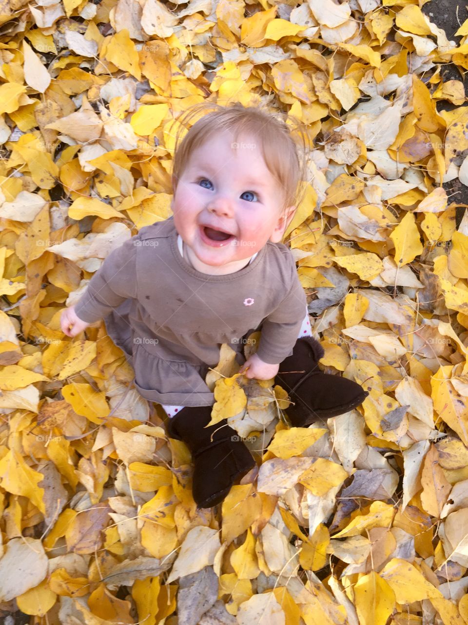 Infant girl enjoying the golden fall leafs 