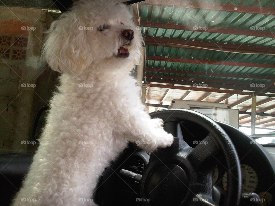 My driver for the day 