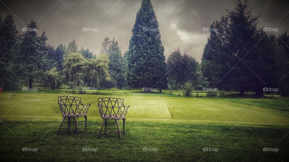 green croquet fields in Oregon