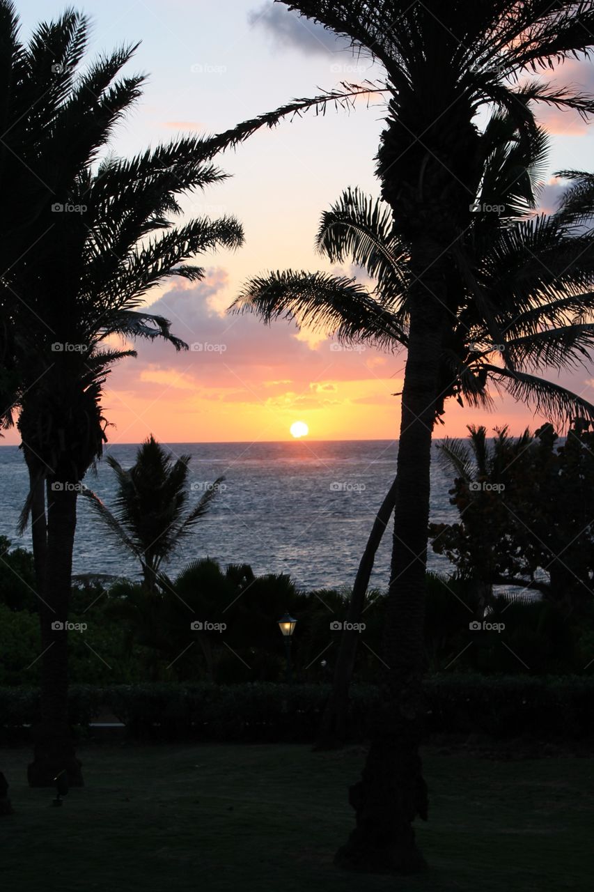 Tropical sunset with palm trees sea ocean background 