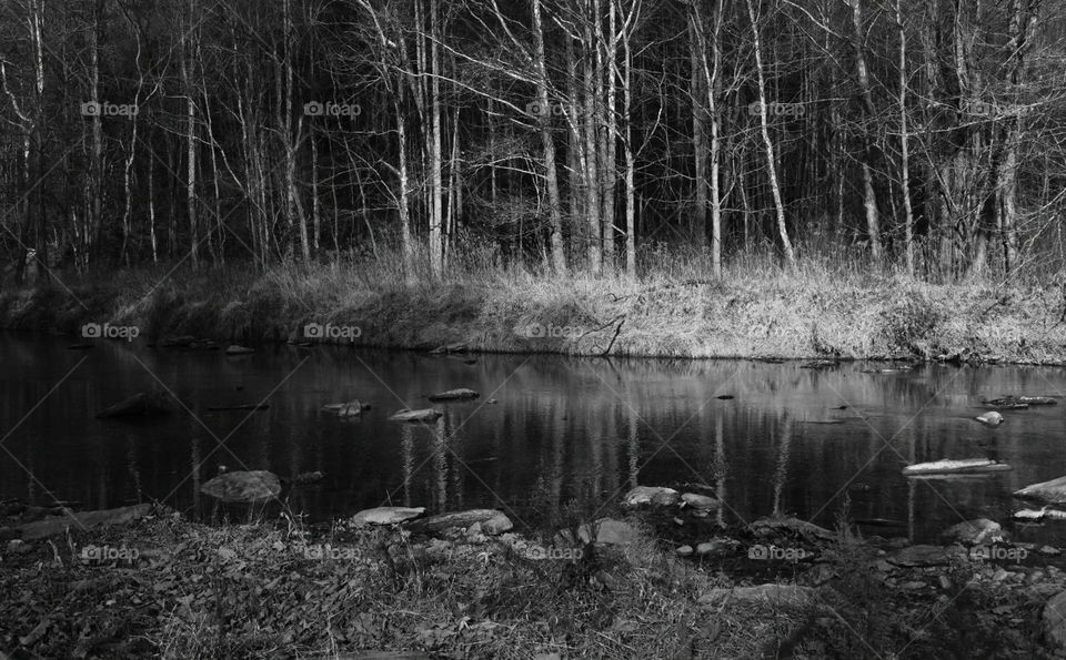 Stream in monochrome