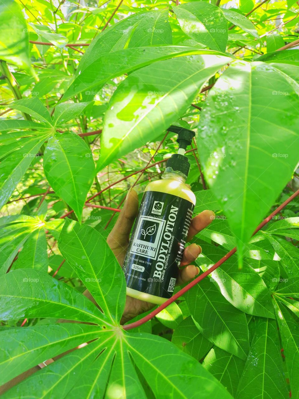 Bilesma natural kasthuri care body lotion.