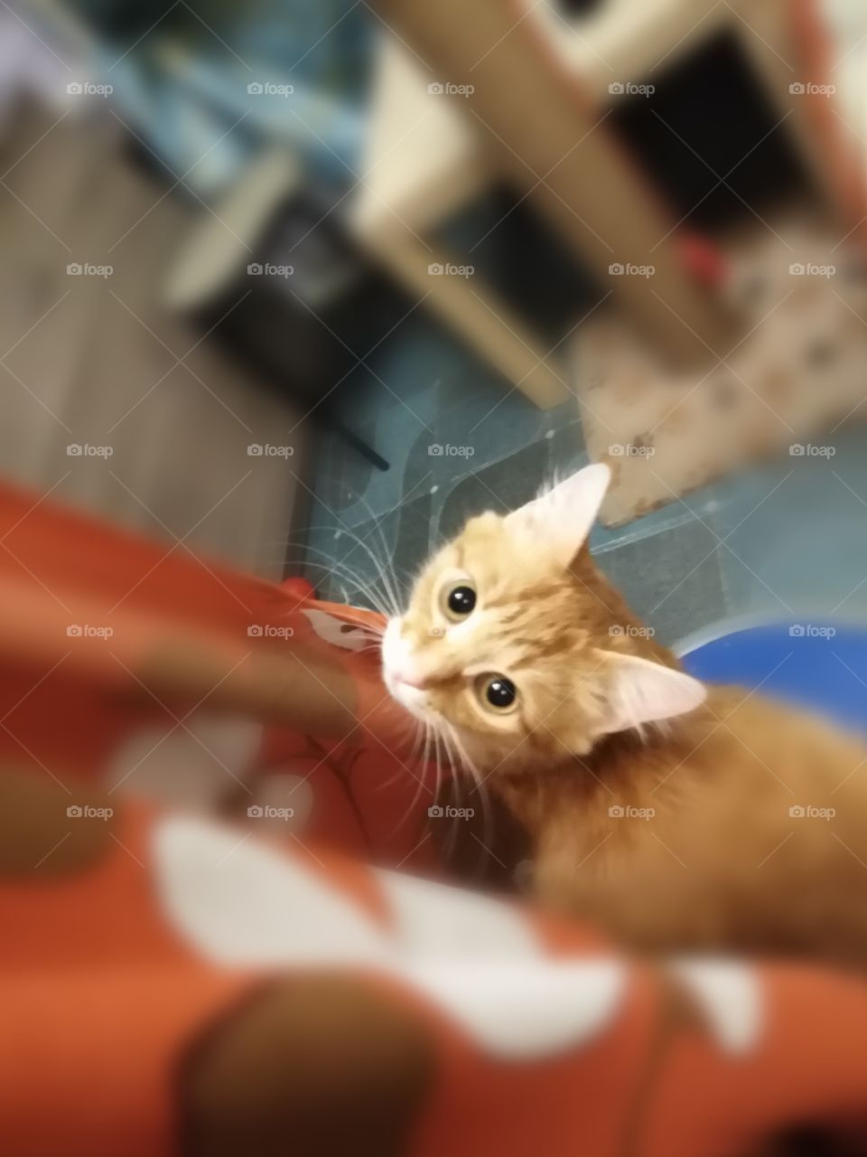 Красивые глаза.