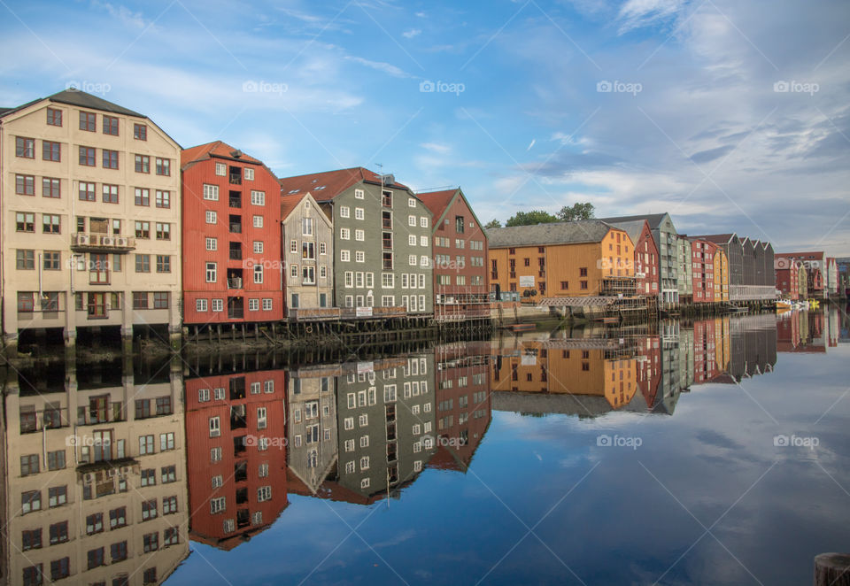 River reflections 