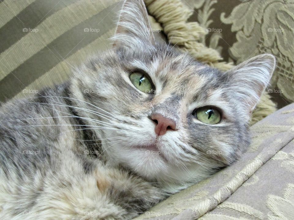 Relaxing & watching!