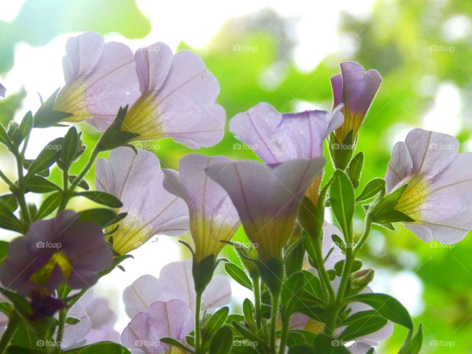 Springtime reflections!