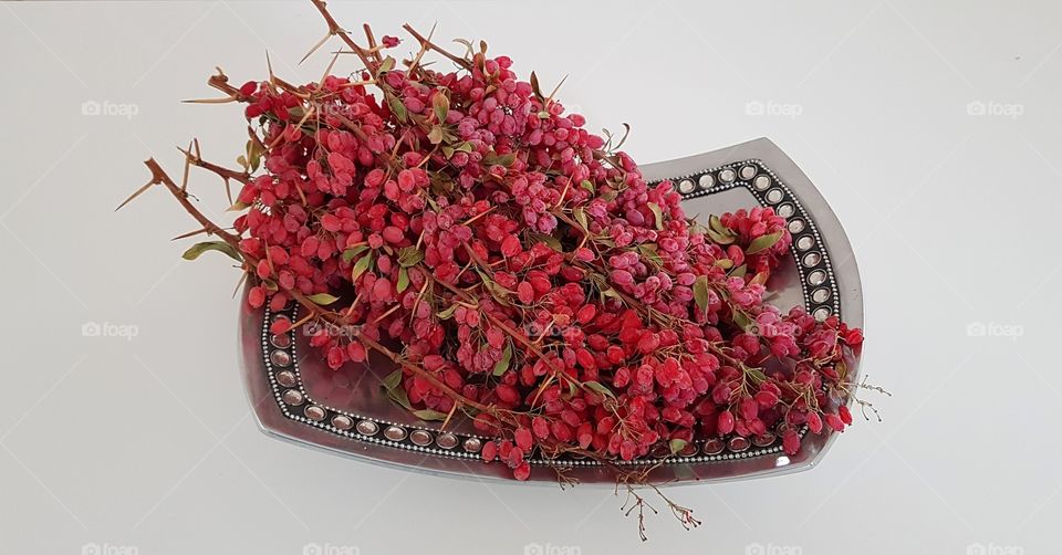 barberry