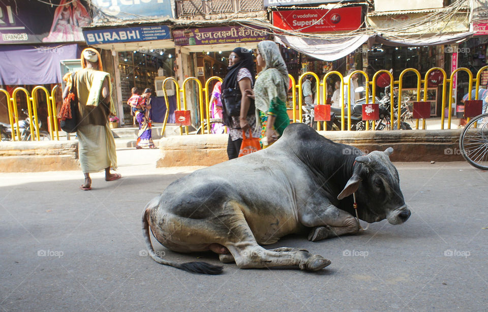 In the middle of the street