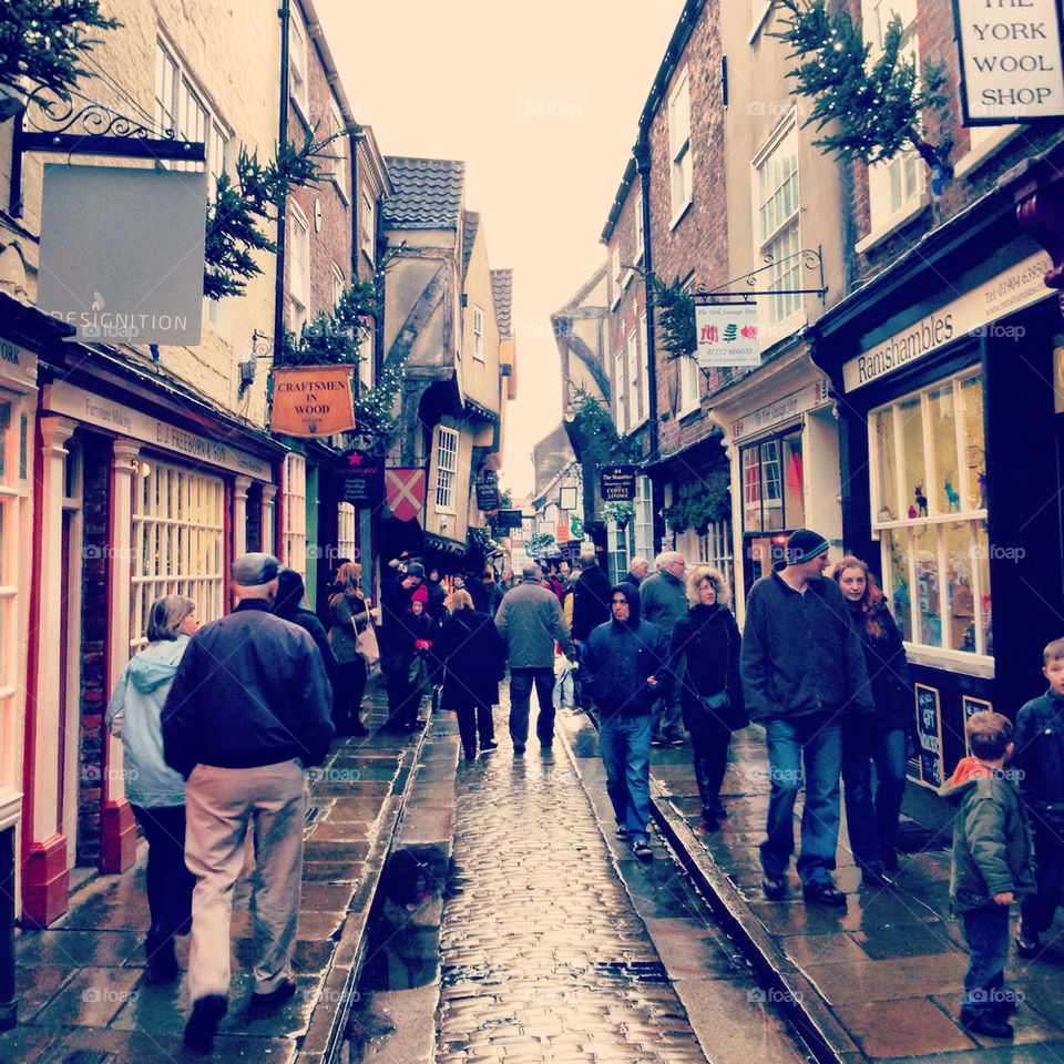 Christmas Tree Alley