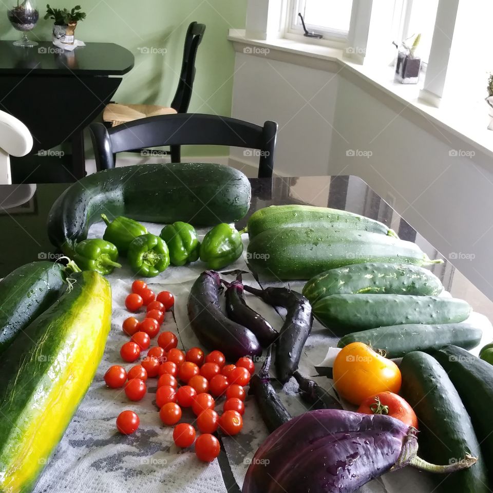 a day's bounty