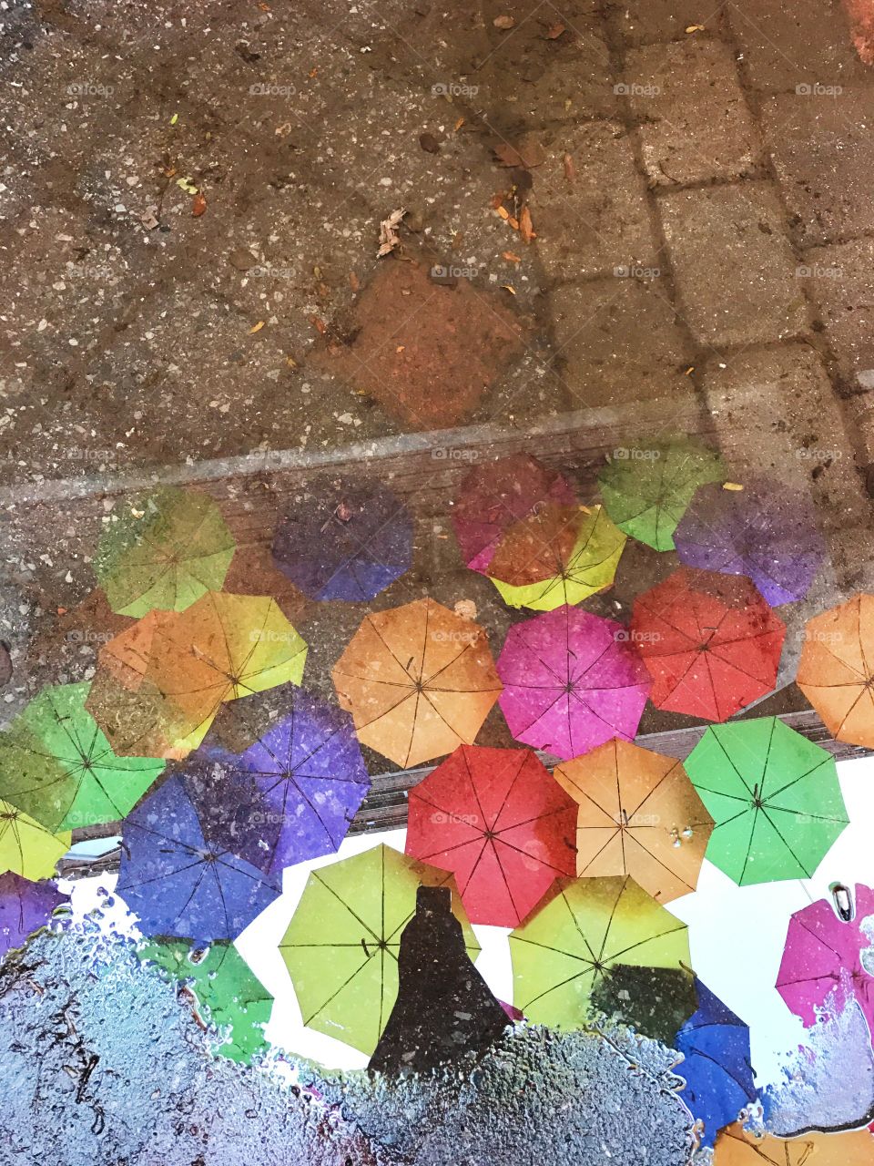 Reflection of umbrellas in a puddle 