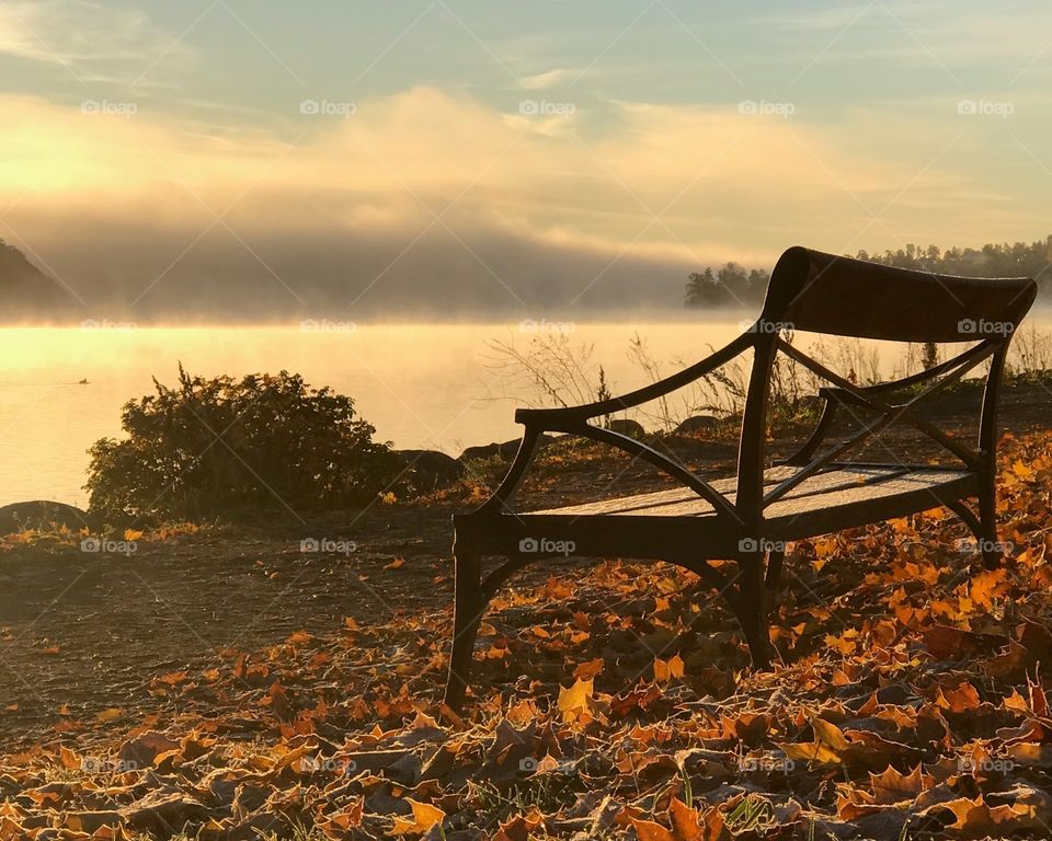 Foggy morning