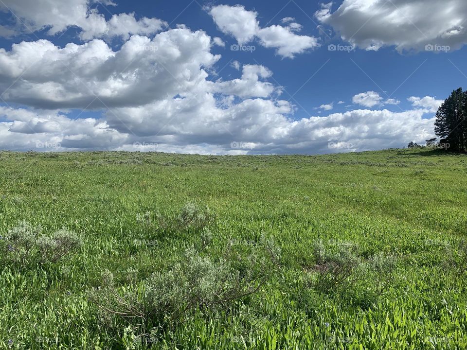 Real windows background 