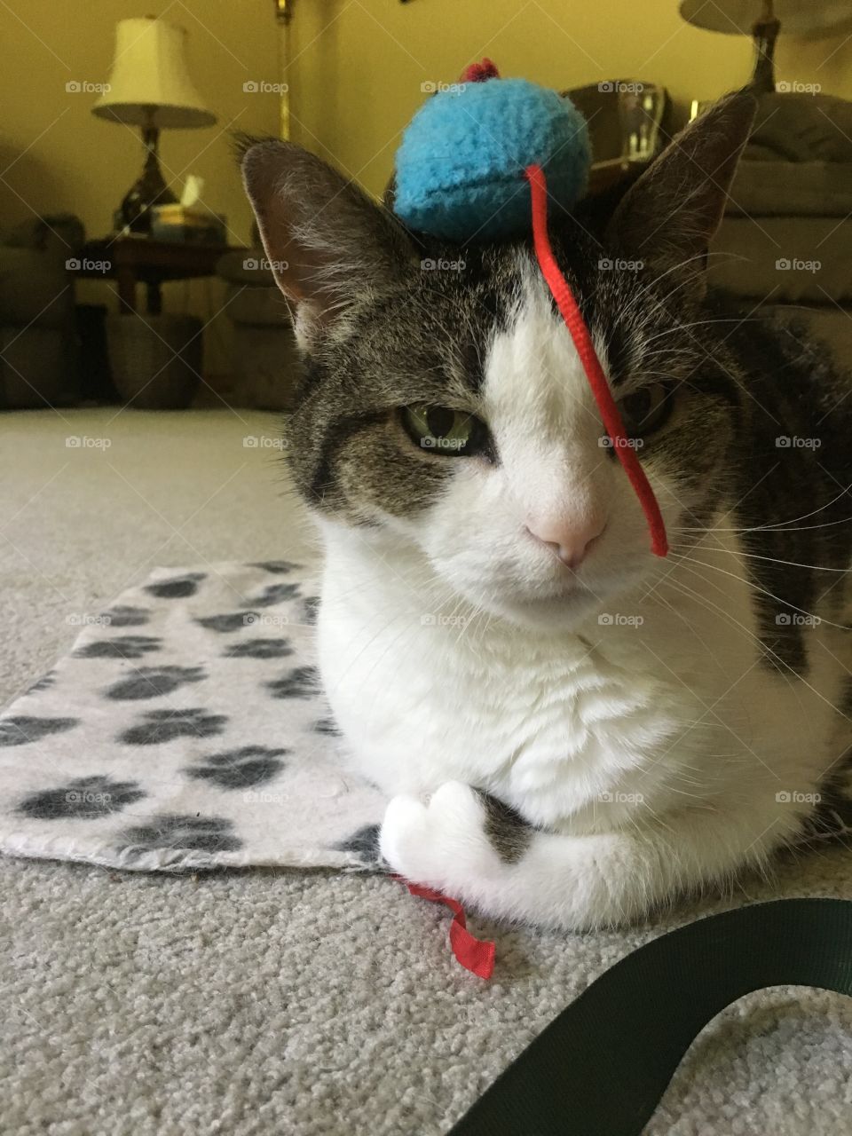 Doesn’t want to play right now