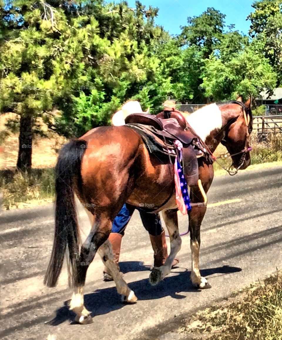 Cowboy walking horse down road. Cowboy walking horse down road