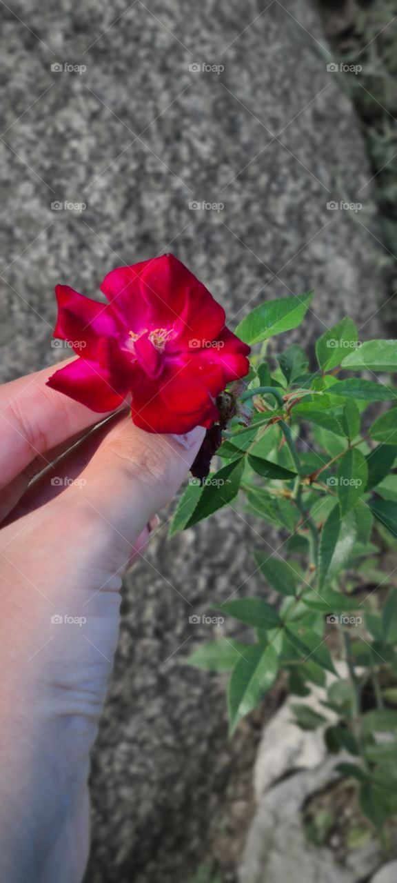 Life can be found anywhere