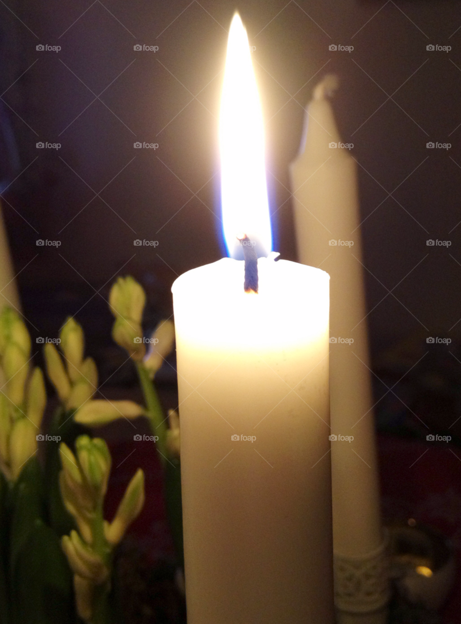 light flower candle christmas time by sandborgskan