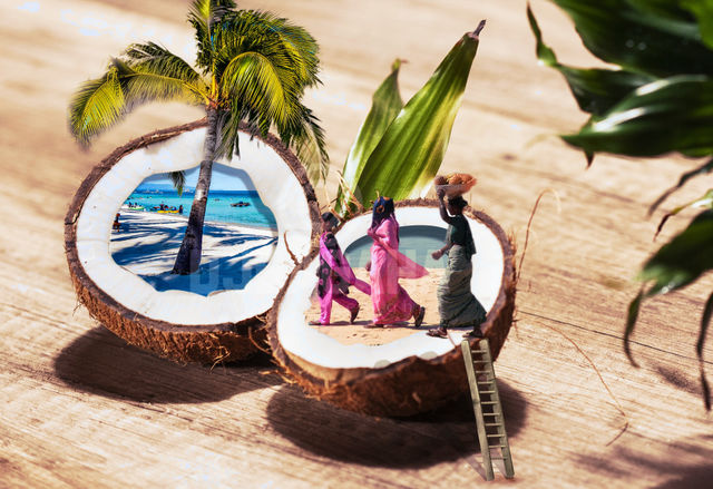 #coconut #tree #enviornment #people #manipulation #ps #adobe #photoshop #edits #3d #designgraphic  #DoubleExposure #effect