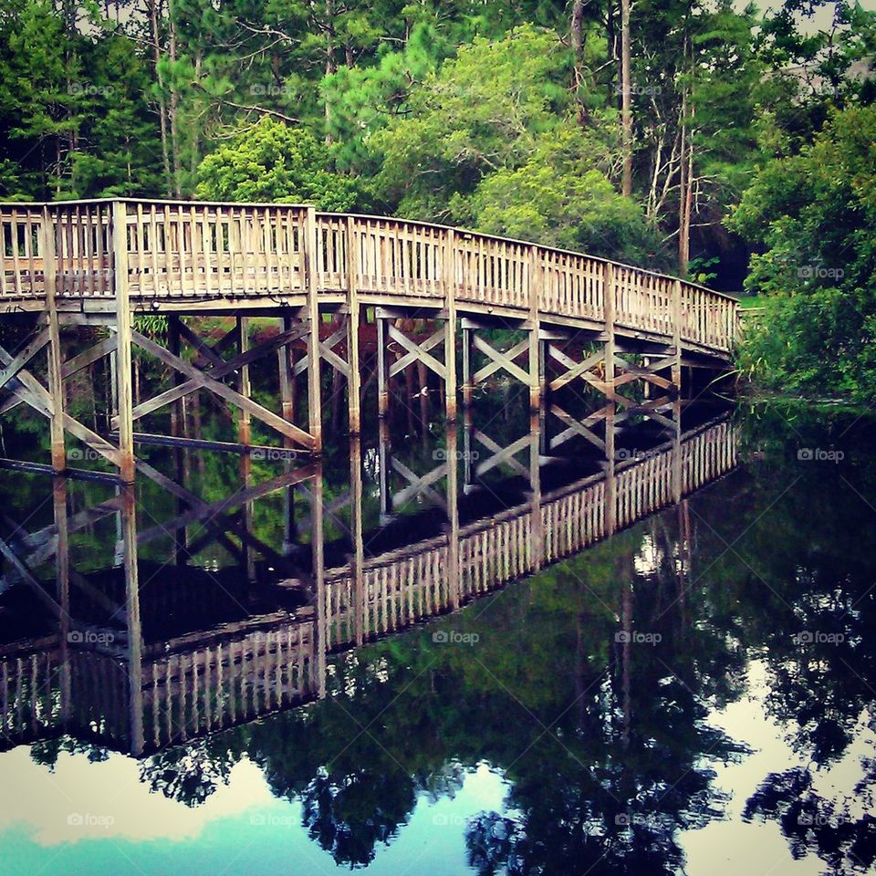 Bridge Reflection 