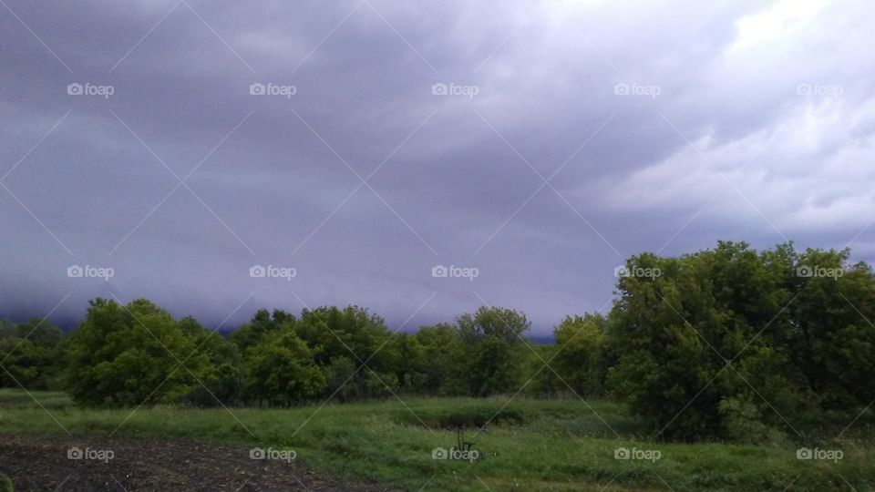 Landscape, Tree, No Person, Sky, Nature