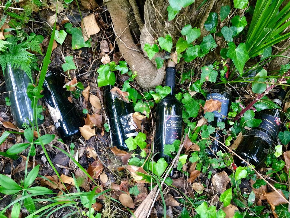 Hiking and wine go together when viewing nature’s wonders