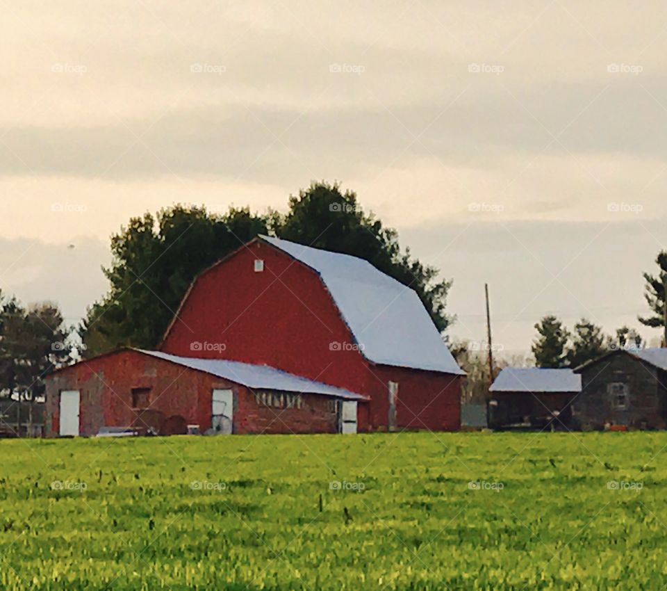 Red Barn