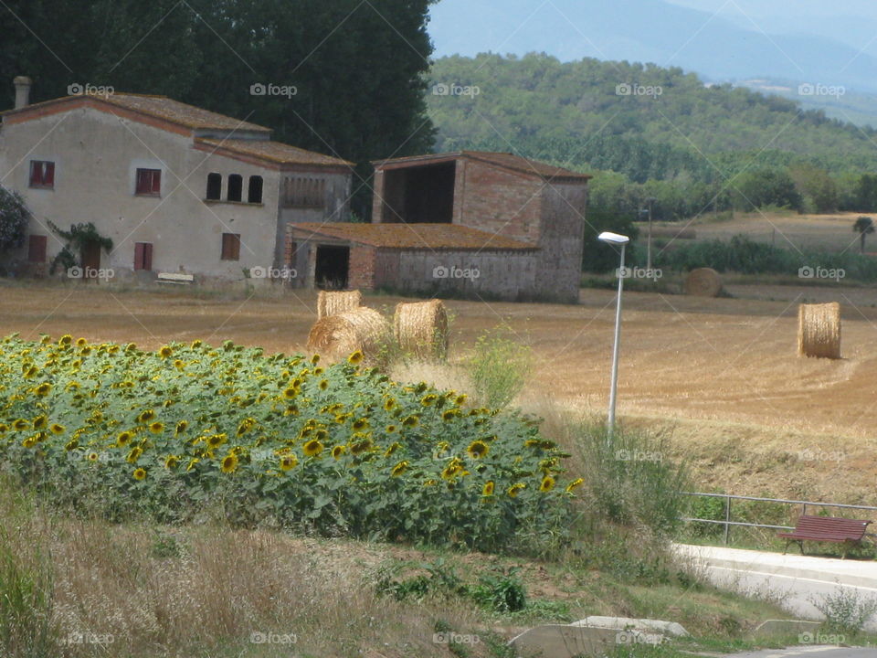 Púbol. This tiny village was the home of Dali and Gala. 