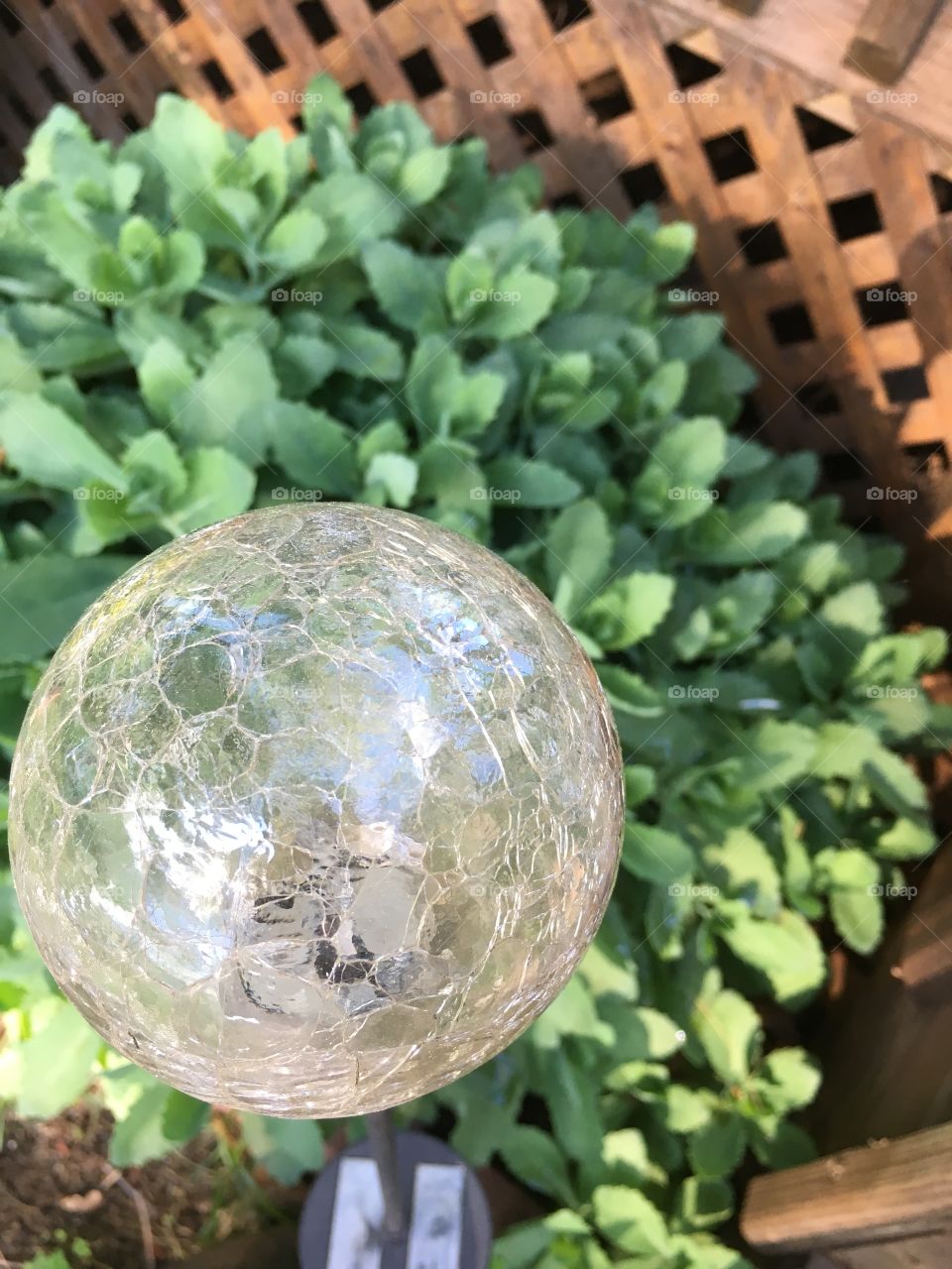 Globe in the Garden