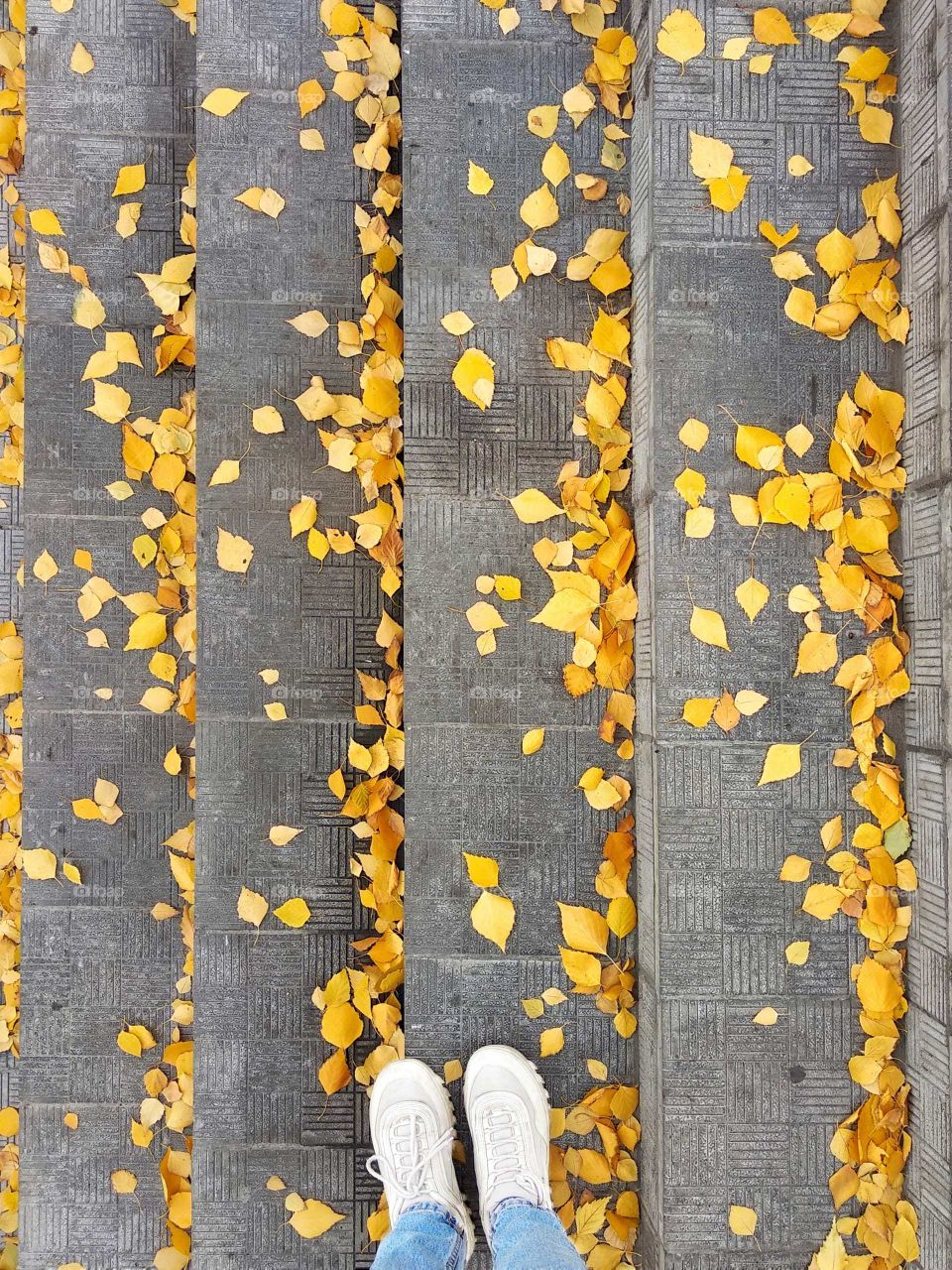 Selfie photo of feet on the background of the stairs strewn with yellow birch leaves