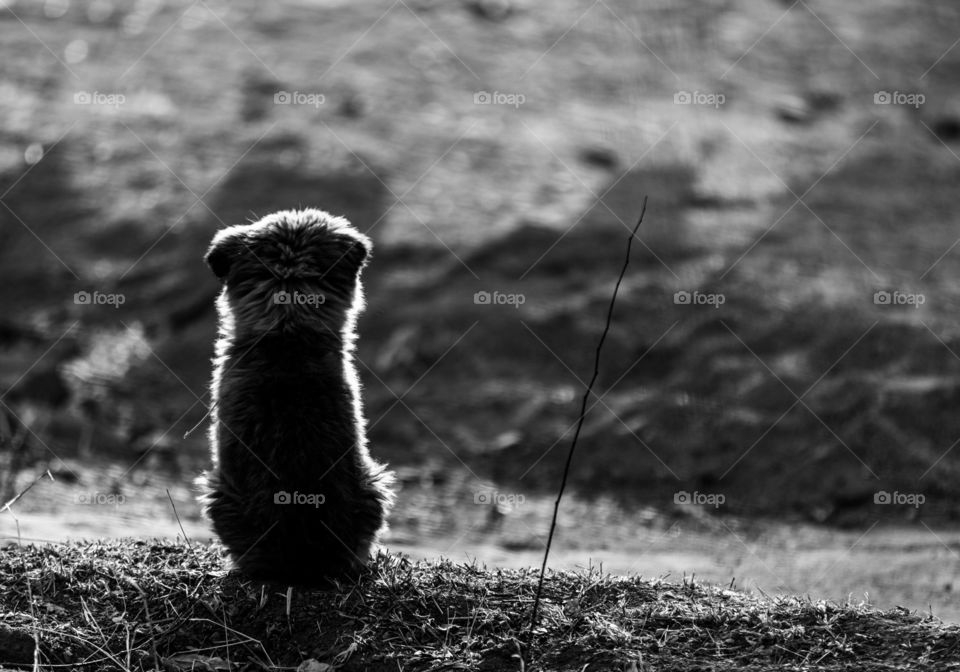 missing you honey, come back soon, with love from Leh, India