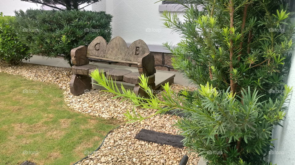 PLANT, GARDEN, LEAVES, FLOWERS, ENVIRONMENT.