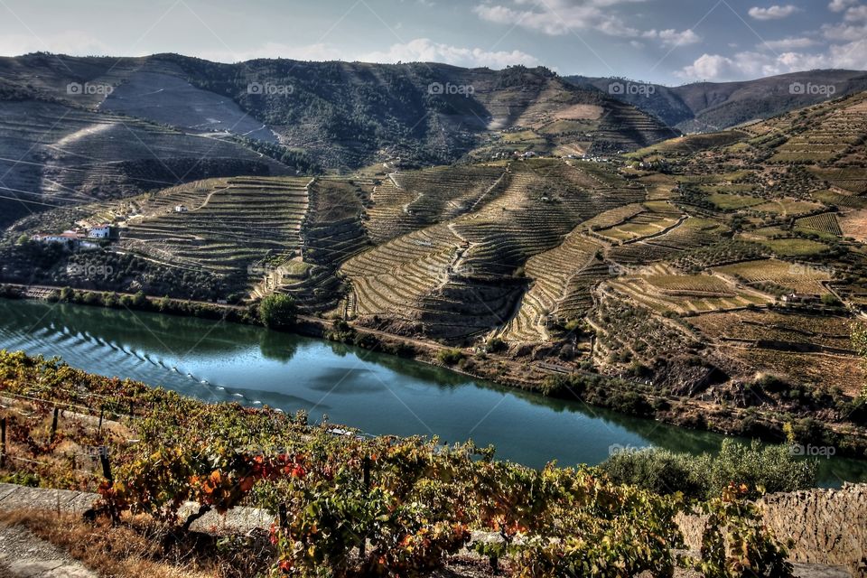 Douro Vinhateiro