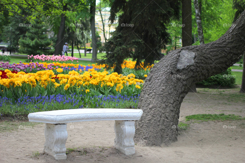 City park