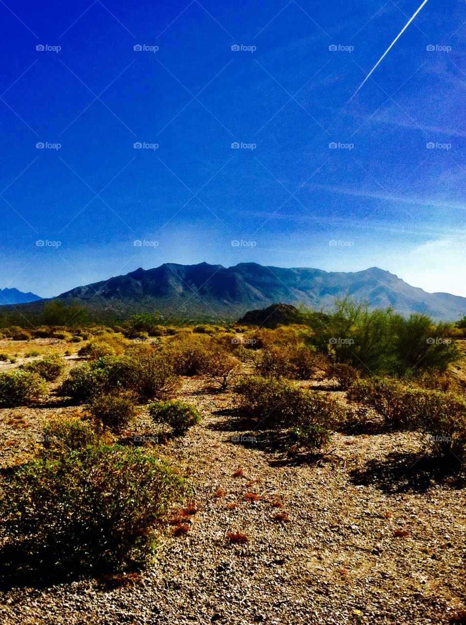 Mesa Arizona mountain view