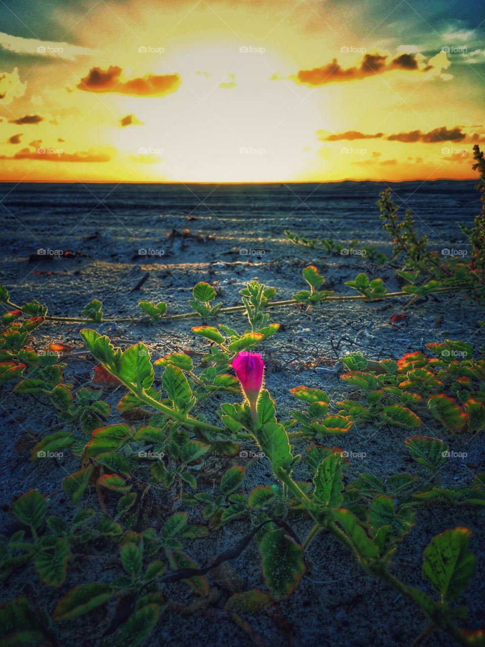Sunrise at the beach