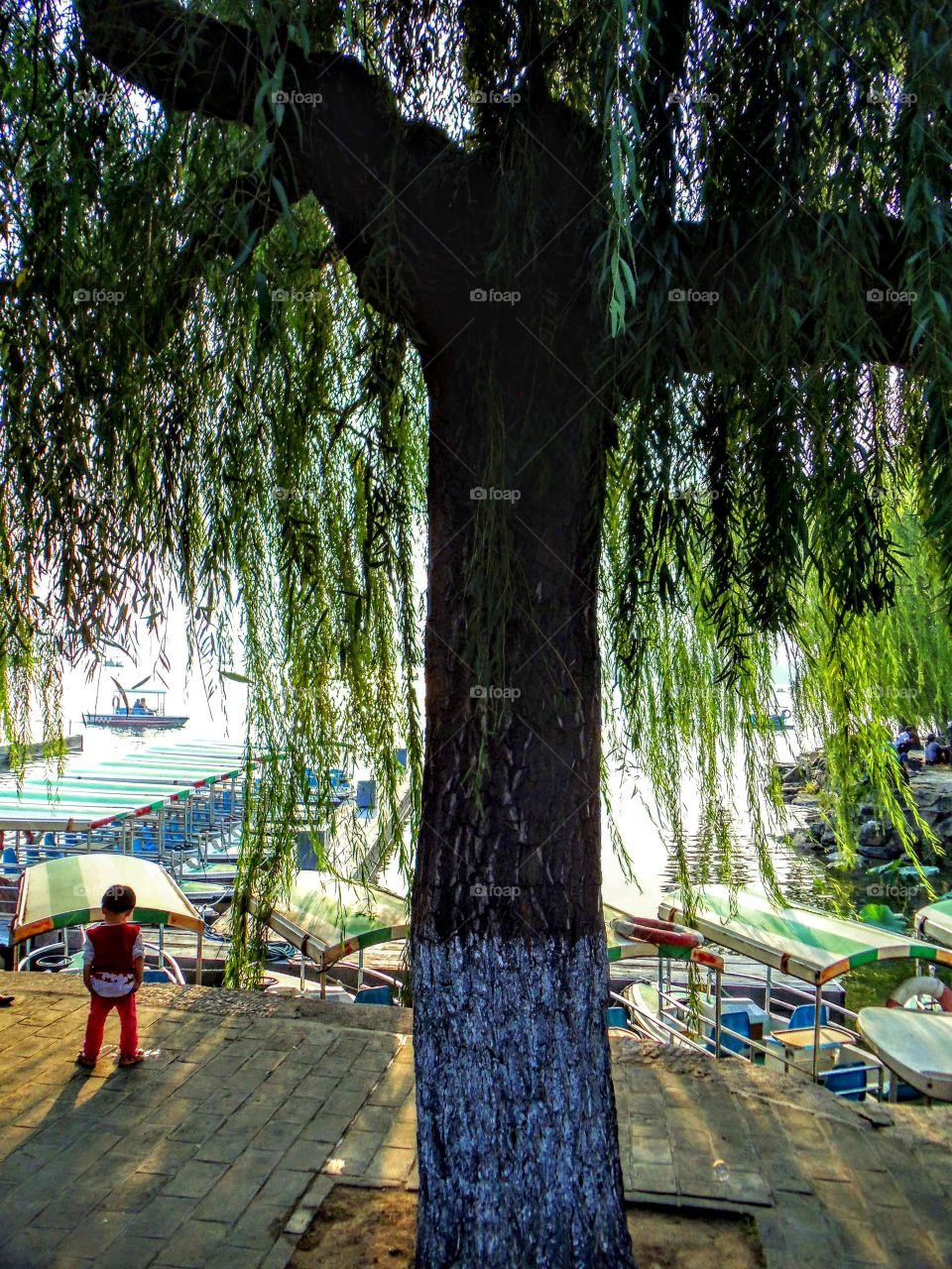 Small girl alongside tall tree at Summer Palace - Beijing