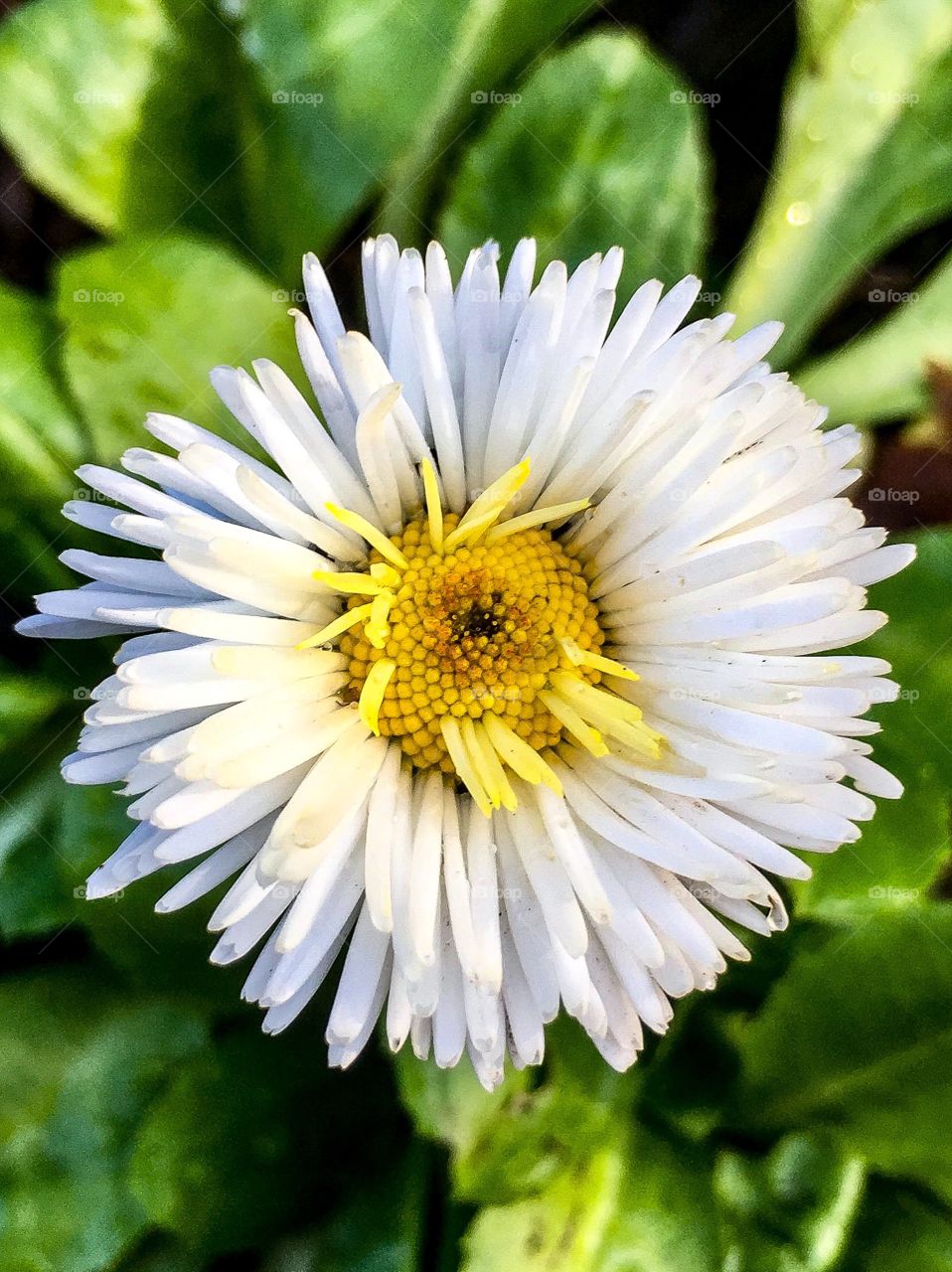 Breaking Out Beautiful