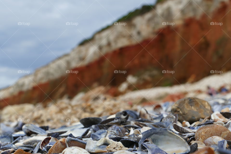 cliff,beach,shells