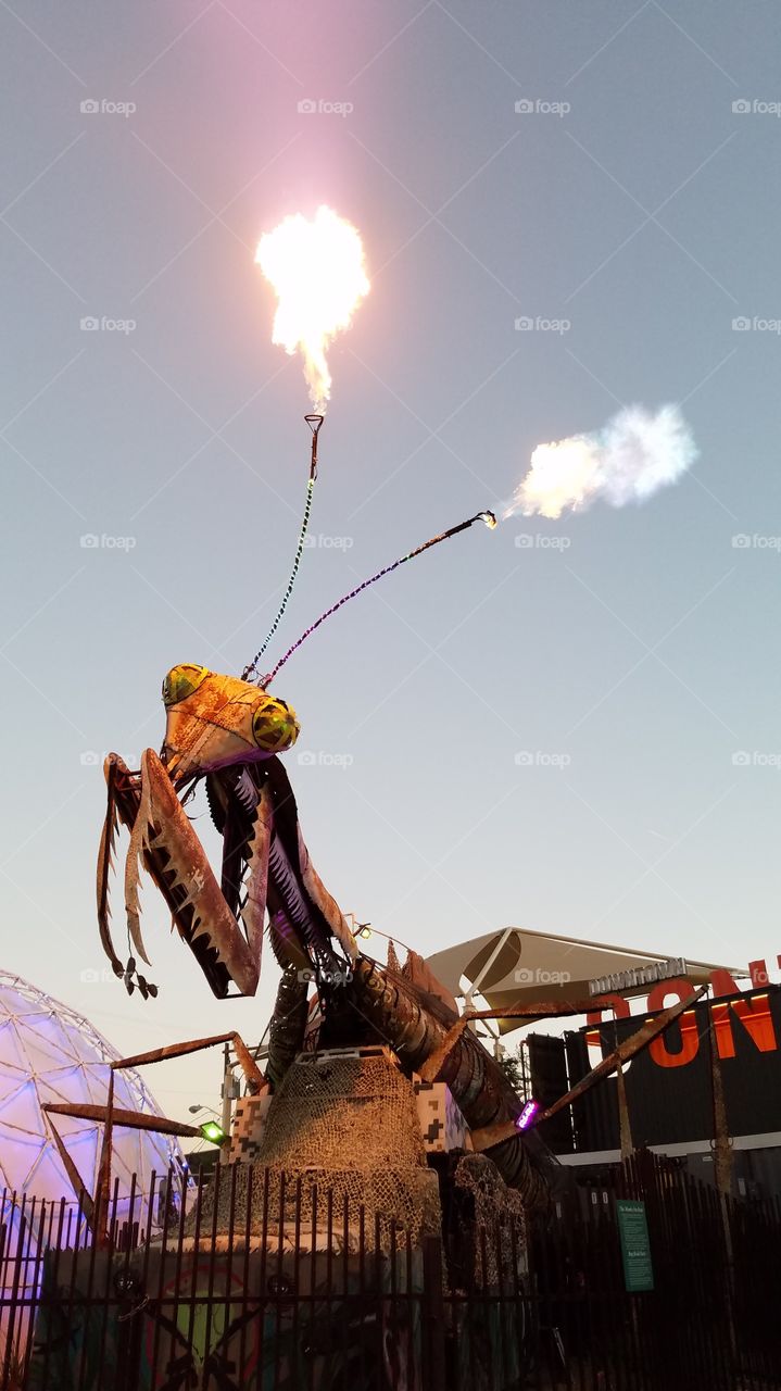 Festival, People, Sky, Flame, Action