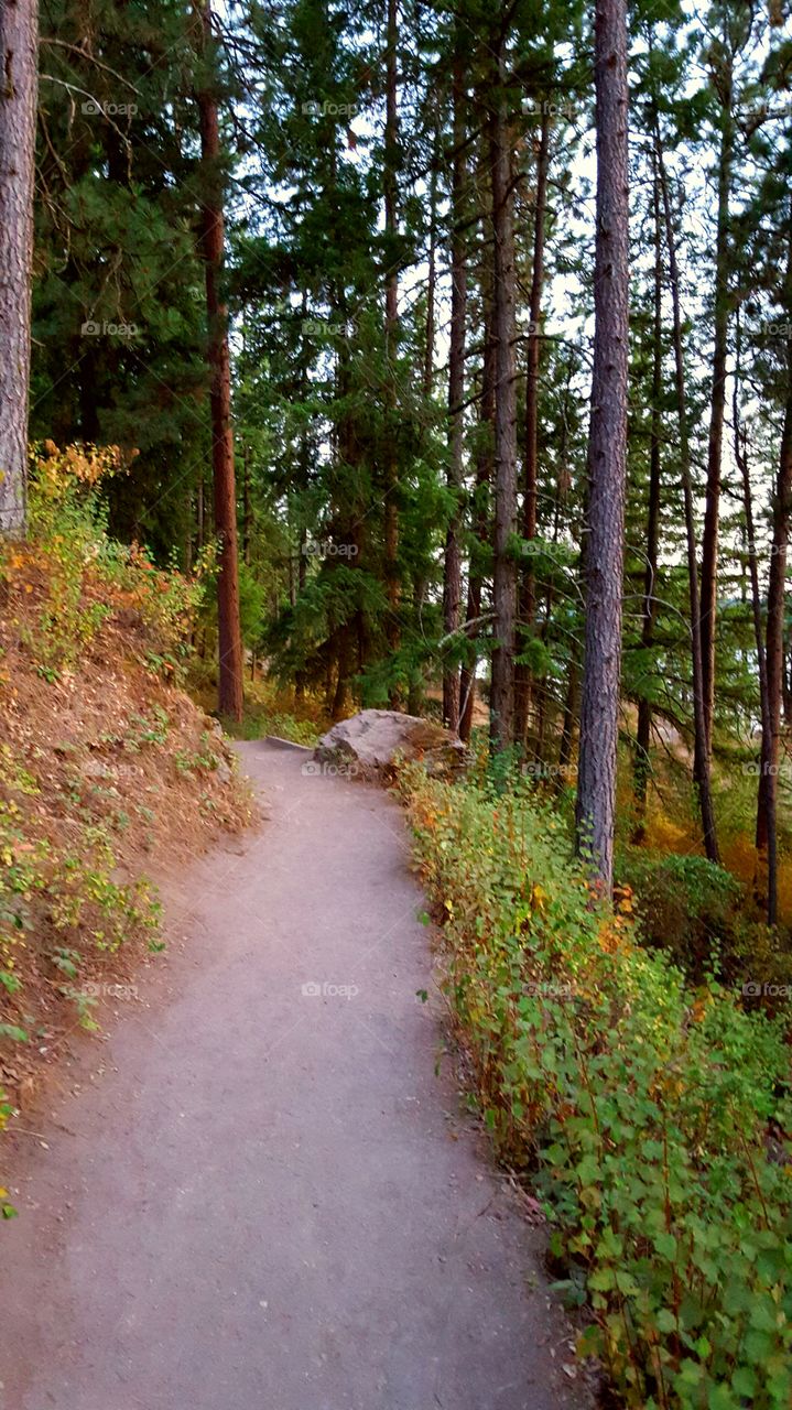 Solitude within nature.